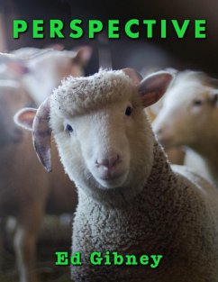 Perspective (eBook, ePUB) - Gibney, Ed