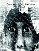 I Once Was Lost, But Now Am Found (eBook, ePUB) I Once Was Lost, But Now Am Found (eBook, ePUB)