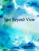 Just Beyond View (eBook, ePUB)