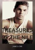 Treasures of the Nile (eBook, ePUB)