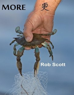 Cover More (eBook, ePUB)