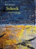 Schock (eBook, ePUB)