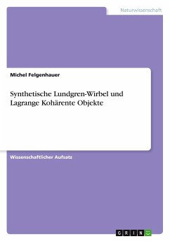 Synthetische Lundgren-Wirbel und Lagrange Kohärente Objekte - Felgenhauer, Michel