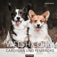 Welsh Corgi - Bohne, Claudia