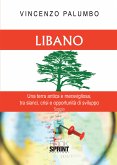 Libano (eBook, PDF)