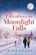 Christmas in Moonlight Falls - Bild 1