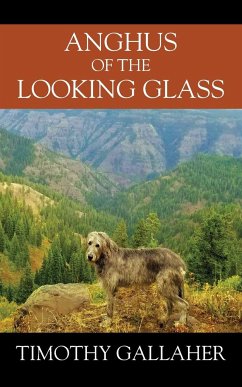 Anghus of the Looking Glass - Gallaher, Timothy