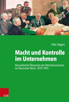 Macht und Kontrolle im Unternehmen (eBook, PDF) - Selgert, Felix