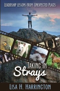 Taking In Strays: Leadership Lessons From Unexpected Places - Harrington, Lisa H.