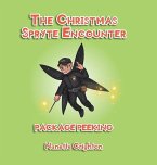 The Christmas Spryte Encounter