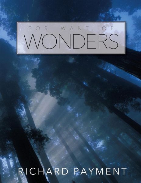 For Want of Wonders (eBook, ePUB) For Want of Wonders (eBook, ePUB)