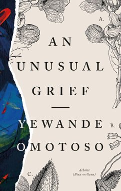 An Unusual Grief - Omotoso, Yewande