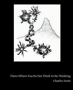 There Where You Do Not Think to Be Thinking - Stein, Charles