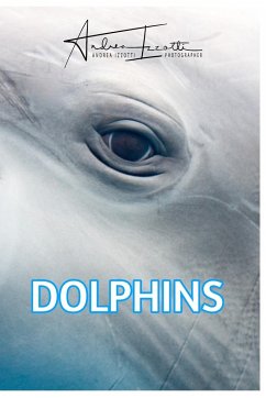 Dolphins - Izzotti, Andrea