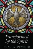 Transformed by the Spirit