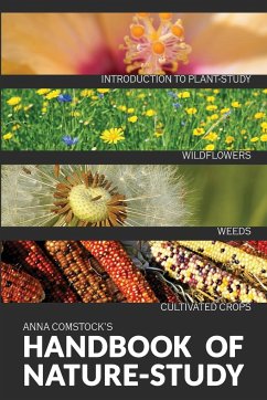 The Handbook Of Nature Study in Color - Wildflowers, Weeds & Cultivated Crops - Comstock, Anna B