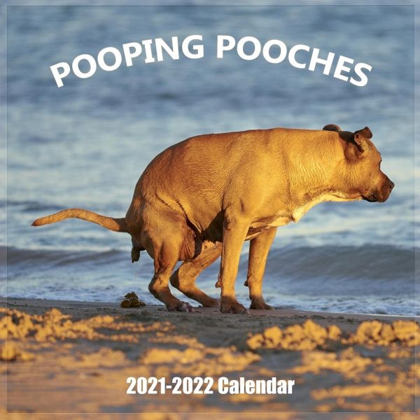 Pooping Pooches 20212022 Wall Calendar Hilarious Gag Gift with 18