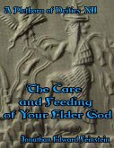 A Plethora of Deities Xii: The Care and Feeding of Your Elder God (eBook, ePUB)