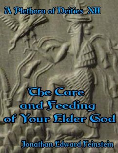 A Plethora of Deities Xii: The Care and Feeding of Your Elder God (eBook, ePUB) - Feinstein, Jonathan Edward