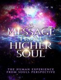 A Message from Higher Soul the Human Experience from Souls Perspective (eBook, ePUB)