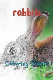 Rabbit Coloring Sheets: 30 Rabbit Drawings, Coloring Sheets Adults Relaxation, Coloring Book for Kids, for Girls, Volume 7