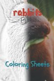 Rabbit Coloring Sheets: 30 Rabbit Drawings, Coloring Sheets Adults Relaxation, Coloring Book for Kids, for Girls, Volume 13