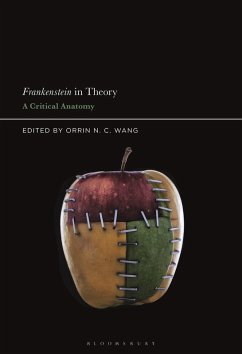 Frankenstein in Theory (eBook, ePUB)