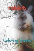 Rabbit Coloring Sheets: 30 Rabbit Drawings, Coloring Sheets Adults Relaxation, Coloring Book for Kids, for Girls, Volume 10
