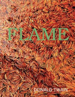 Flame (eBook, ePUB) - Twain, Donald