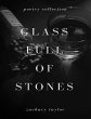 Glass Full of Stones (eBook, ePUB) - Bild 1