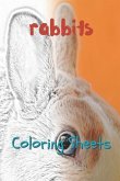 Rabbit Coloring Sheets: 30 Rabbit Drawings, Coloring Sheets Adults Relaxation, Coloring Book for Kids, for Girls, Volume 6