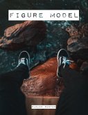 Figure Model (eBook, ePUB)