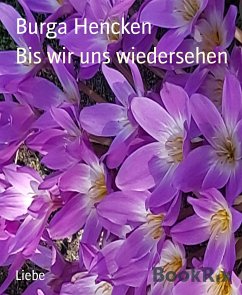 Bis wir uns wiedersehen (eBook, ePUB) - Hencken, Burga