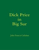 Dick Price In Big Sur (eBook, ePUB)