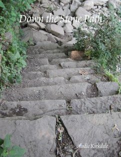 Cover Down the Stone Path (eBook, ePUB)