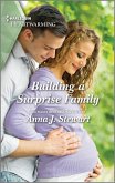 Building a Surprise Family (eBook, ePUB)