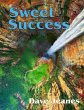 Sweet Success (eBook, ePUB) - Bild 1