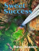 Sweet Success (eBook, ePUB)