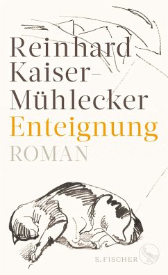 Enteignung (Mängelexemplar) - Kaiser-Mühlecker, Reinhard