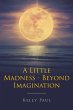 A Little Madness- Beyond Imagination - Bild 1