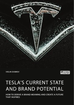 Tesla's current state and brand potential. How to derive a brand meaning and create a future that inspires (eBook, PDF) - Dobrev, Ivelin