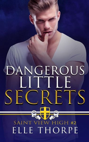 Dangerous Little Secrets von Elle Thorpe - englisches Buch - bücher.de