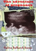The adventure of pregnancy (eBook, ePUB)