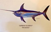 Xiphias gladius - The Fish of My Lifetime... a short story by Michael Fowlkes (eBook, ePUB) Xiphias gladius - The Fish of My Lifetime... a short story by Michael Fowlkes (eBook, ePUB)