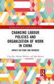 Changing Labour Policies and Organization of Work in China (eBook, ePUB)