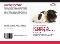 Caracterización Morfológica del Sistema Digestivo del Cobayo - Méndez, Oliver; Céspedes, Raquel