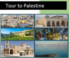 Cover Tour to Palestine (eBook, ePUB)