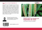 Selección en líneas di-haploides de maíz