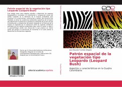 Patrón espacial de la vegetación tipo Leopardo (Leopard Bush) - Fuentes Delgado, Jose Eduardo