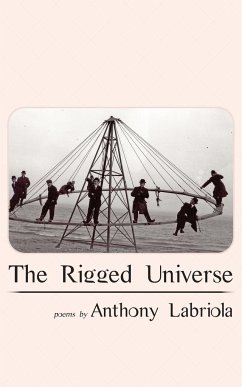 The Rigged Universe - Labriola, Anthony; Tbd